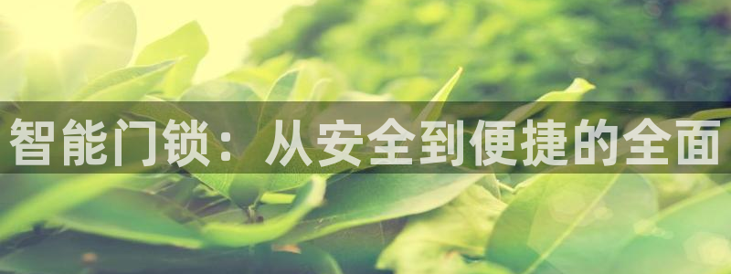 开丰娱乐平台地址电话：智能门锁：从安全到便捷的全面