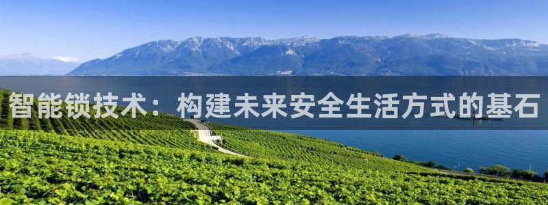 开丰娱乐月：智能锁技术：构建未来安全生活方式的基石
