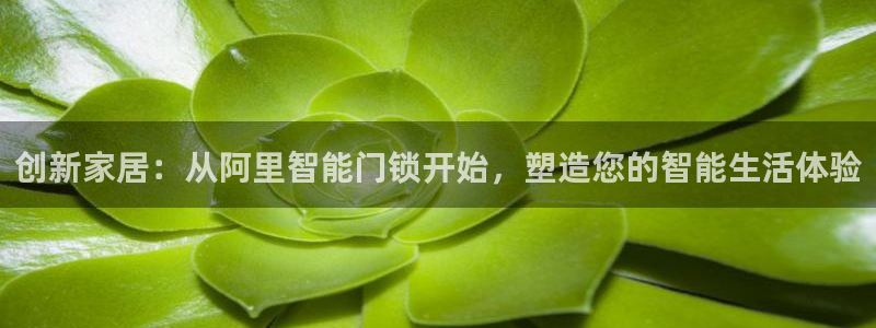 开丰娱乐怎么开转点：创新家居：从阿里智能门锁开始，塑造您的智