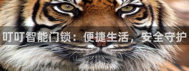 开丰娱乐平台地址电话：叮叮智能门锁：便捷生活，安全守护