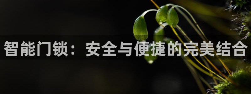 开丰娱乐科技：智能门锁：安全与便捷的完美结合