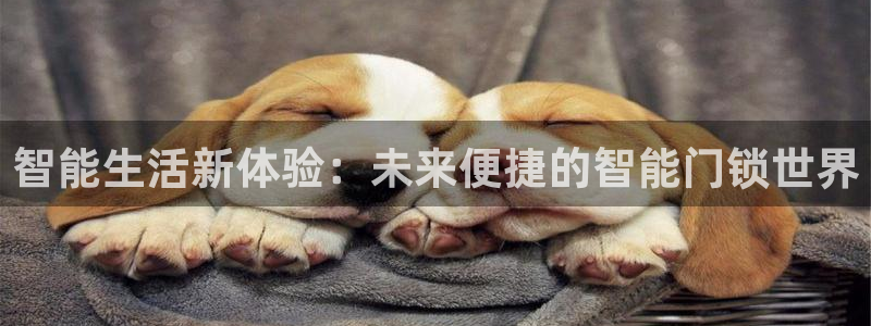 开丰娱乐后7O667：智能生活新体验：未来便捷的智能门锁世界
