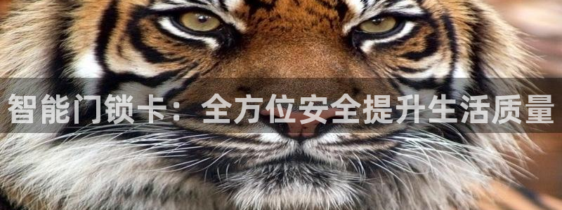 开丰娱乐测速：智能门锁卡：全方位安全提升生活质量
