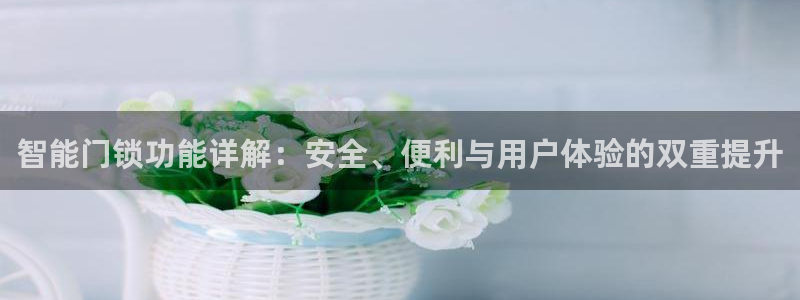 开丰娱乐登录地址入口：智能门锁功能详解：安全、便利与用户体验