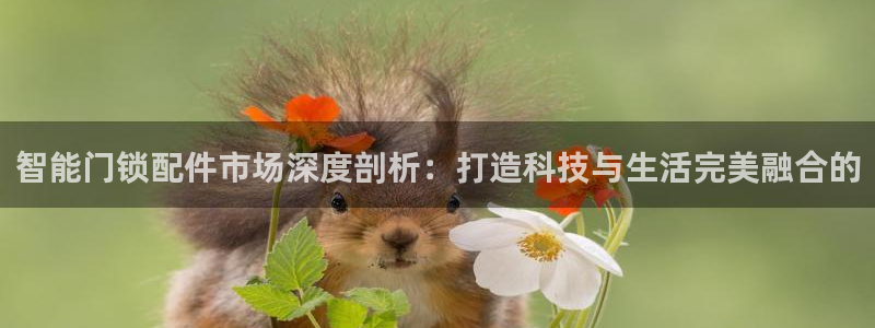 开丰娱乐：智能门锁配件市场深度剖析：打造科技与生活完美融合的