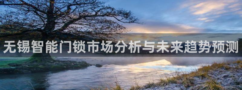 开丰娱乐登录平台：无锡智能门锁市场分析与未来趋势预测