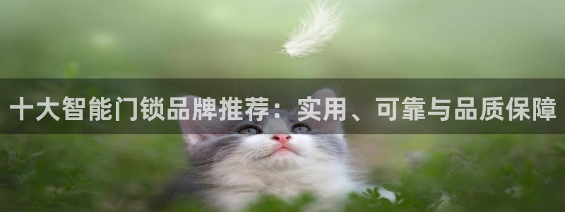 开丰娱乐靠谱吗：十大智能门锁品牌推荐：实用、可靠与品质保障