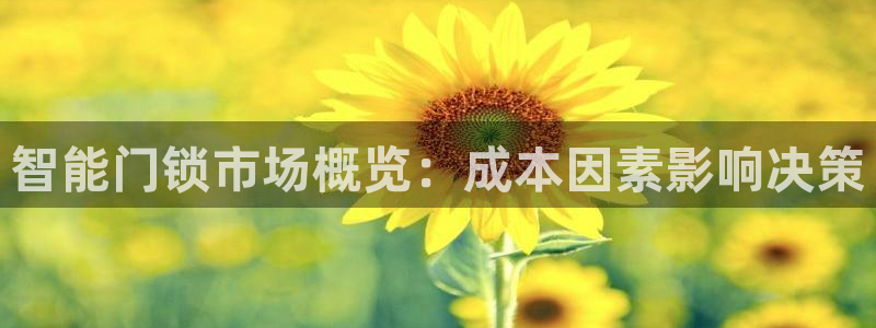 开丰娱乐右7O667：智能门锁市场概览：成本因素影响决策
