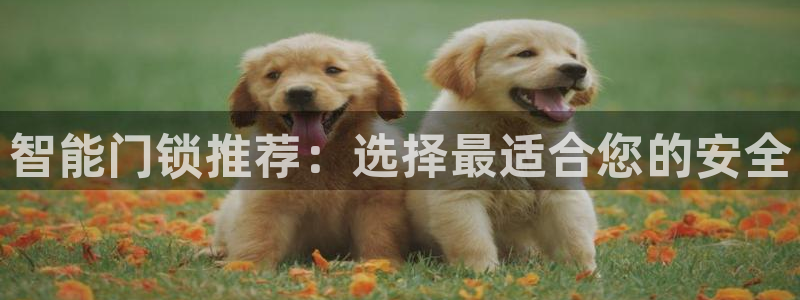开丰娱乐后7O667：智能门锁推荐：选择最适合您的安全