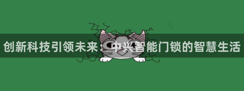 开丰娱乐地址：创新科技引领未来：中兴智能门锁的智慧生活