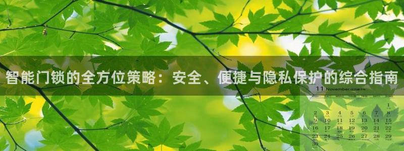 开丰娱乐手机app：智能门锁的全方位策略：安全、便捷与隐私保