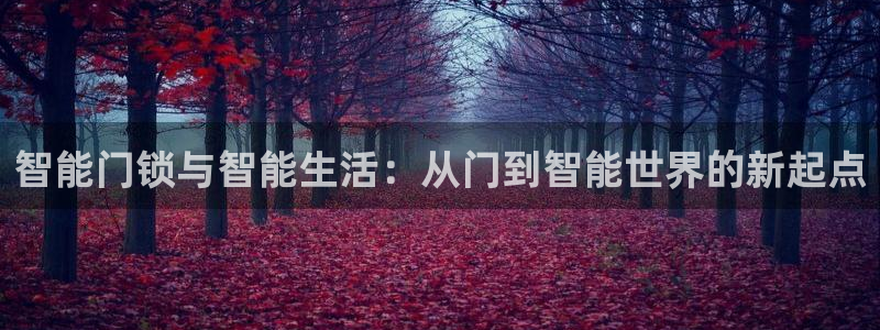 开丰娱乐下：智能门锁与智能生活：从门到智能世界的新起点