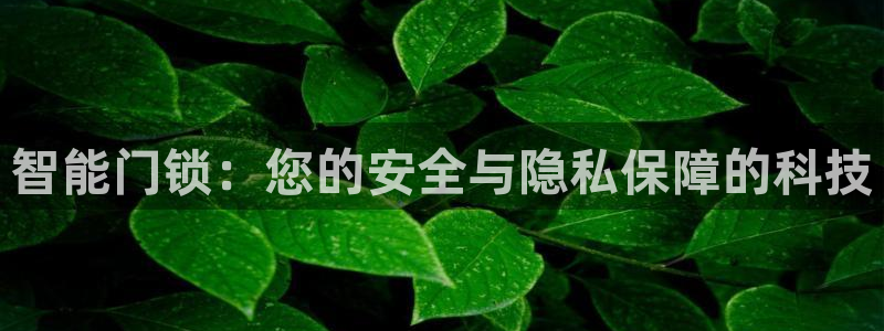 开丰娱乐趣 7O935：智能门锁：您的安全与隐私保障的科技