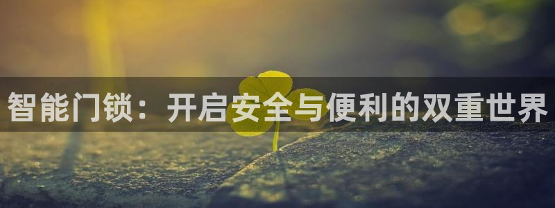 开丰娱乐登入地址查询：智能门锁：开启安全与便利的双重世界