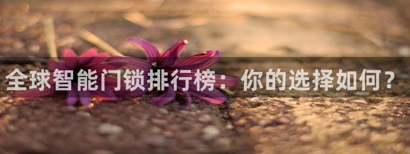 开丰娱乐网官网注册入口：全球智能门锁排行榜：你的选择如何？