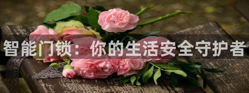 开丰娱乐地址：智能门锁：你的生活安全守护者