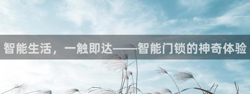 开丰娱乐地址：智能生活，一触即达——智能门锁的神奇体验