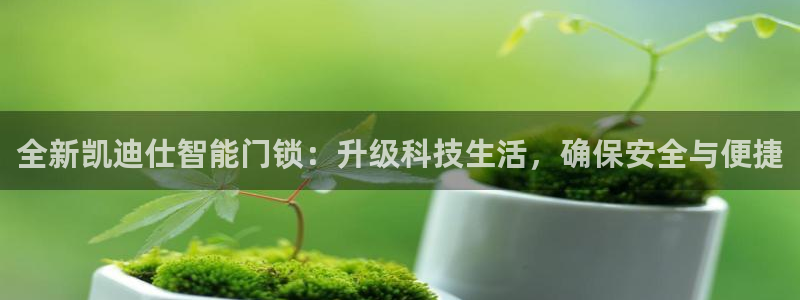开丰娱乐登入：全新凯迪仕智能门锁：升级科技生活，确保安全与便