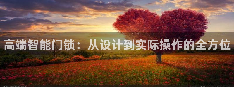 开丰娱乐最新活动：高端智能门锁：从设计到实际操作的全方位