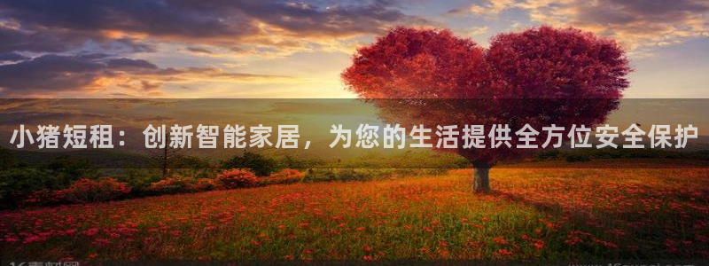 开丰娱乐注册自判官333OO：小猪短租：创新智能家居，为您的