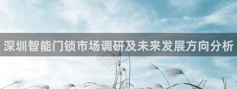 开丰娱乐体育平台：深圳智能门锁市场调研及未来发展方向分析