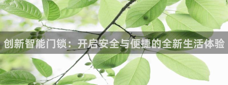 开丰娱乐平台官网登录：创新智能门锁：开启安全与便捷的全新生活