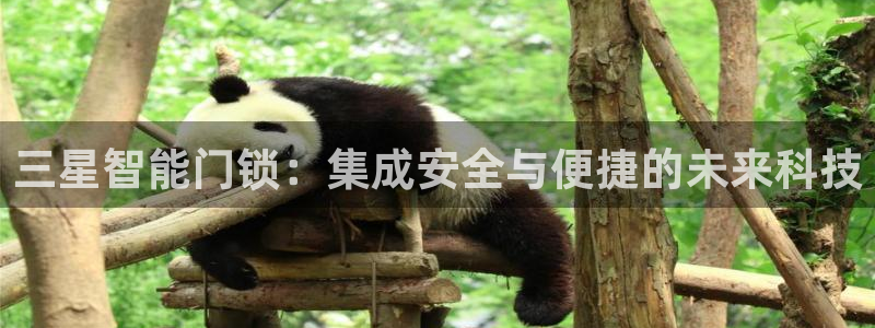 开丰娱乐平台登录网址：三星智能门锁：集成安全与便捷的未来科技