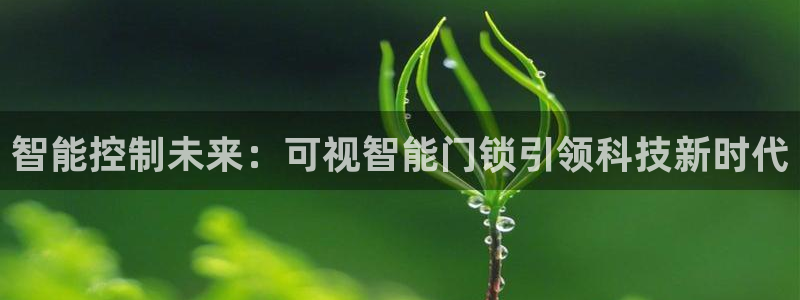 开丰娱乐巾67五壹叁八：智能控制未来：可视智能门锁引领科技新