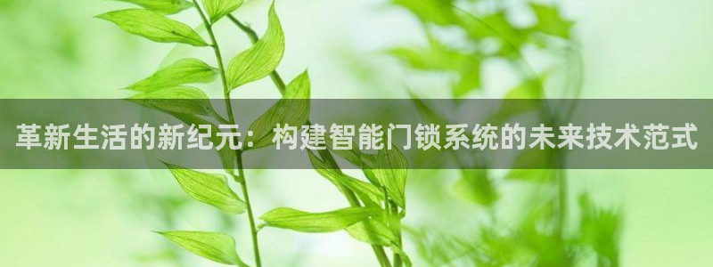 开丰娱乐官网登录网址：革新生活的新纪元：构建智能门锁系统的未