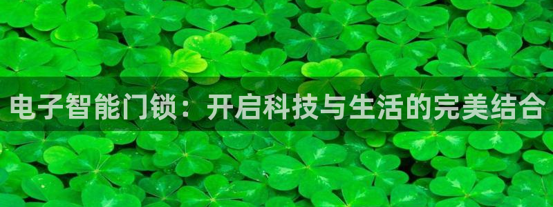 开丰娱乐官网登录平台：电子智能门锁：开启科技与生活的完美结合