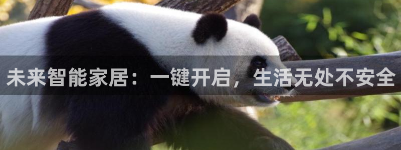 开丰娱乐登录平台下载：未来智能家居：一键开启，生活无处不安全