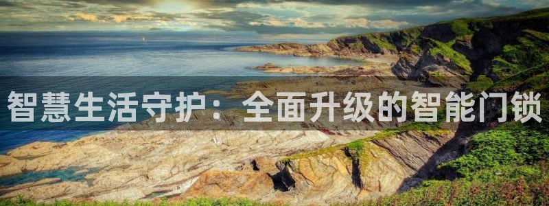 开丰娱乐寸六七五一38：智慧生活守护：全面升级的智能门锁