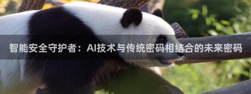 开丰娱乐更多平台：智能安全守护者：AI技术与传统密码相结合的