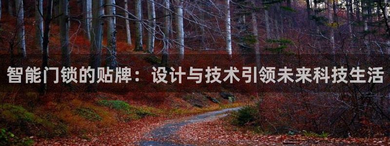 开丰娱乐怎么开转点：智能门锁的贴牌：设计与技术引领未来科技生