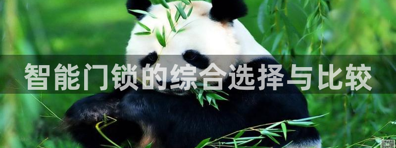开丰娱乐网址：智能门锁的综合选择与比较