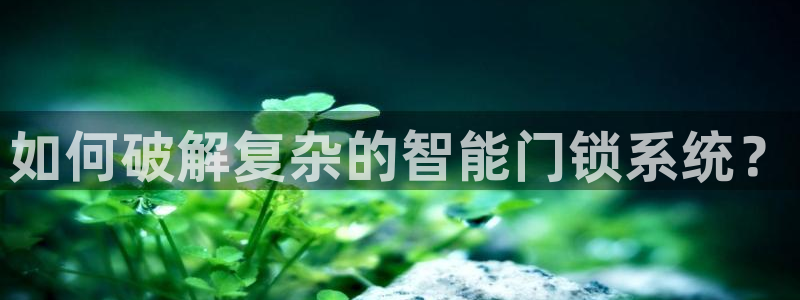开丰娱乐官网招聘：如何破解复杂的智能门锁系统？