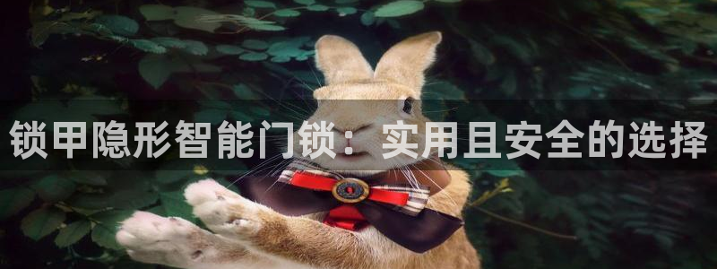 开丰娱乐平台注册时间：锁甲隐形智能门锁：实用且安全的选择