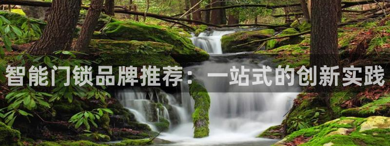 开丰娱乐注册登录：智能门锁品牌推荐：一站式的创新实践