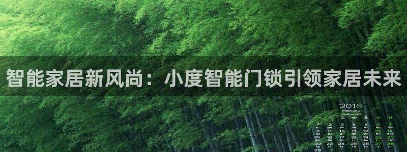 开丰娱乐怎么开转点：智能家居新风尚：小度智能门锁引领家居未来