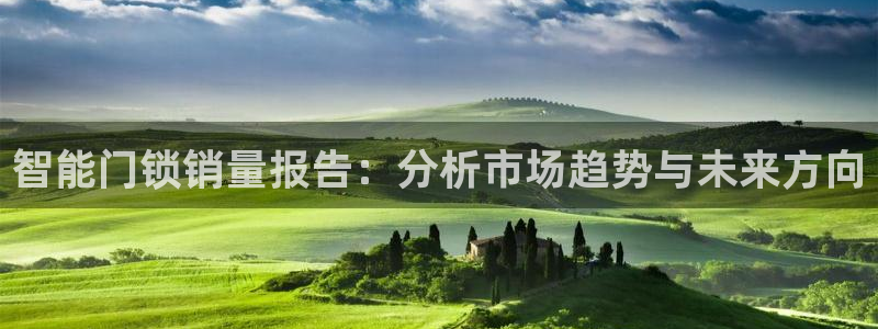 开丰娱乐官网平台电话：智能门锁销量报告：分析市场趋势与未来方