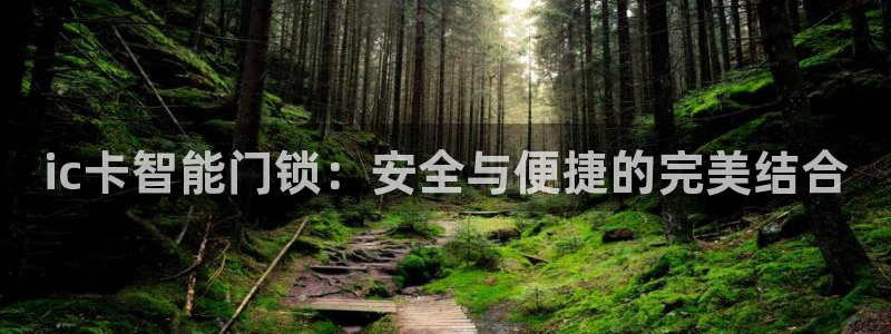 开丰娱乐违法吗：ic卡智能门锁：安全与便捷的完美结合