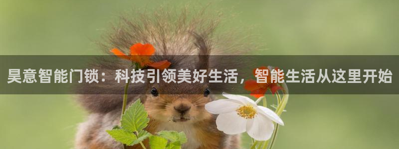 开丰娱乐手机app：昊意智能门锁：科技引领美好生活，智能生活