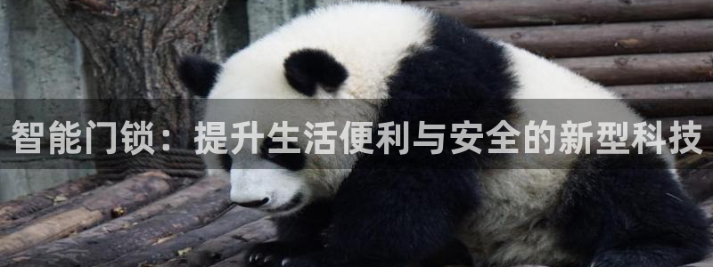 开丰娱乐注册系究耍333OO：智能门锁：提升生活便利与安全的