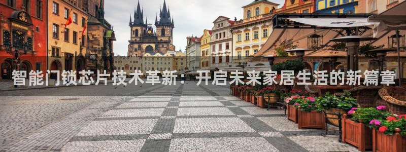 开丰娱乐平台地址在哪里：智能门锁芯片技术革新：开启未来家居生