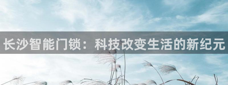 开丰娱乐寸67五壹叁八：长沙智能门锁：科技改变生活的新纪元