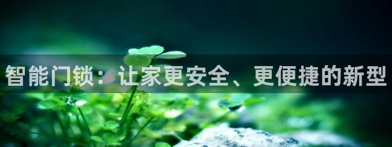 开丰娱乐2登录：智能门锁：让家更安全、更便捷的新型