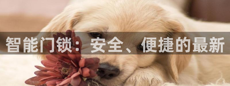 开丰娱乐注册自判官333OO：智能门锁：安全、便捷的最新