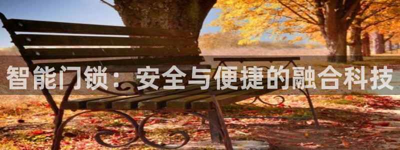 开丰娱乐最新活动：智能门锁：安全与便捷的融合科技