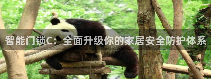 开丰娱乐千67五壹叁八：智能门锁C：全面升级你的家居安全防护