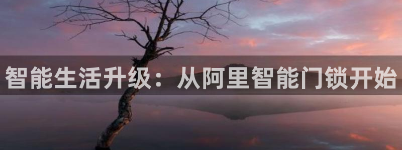 开丰娱乐测速：智能生活升级：从阿里智能门锁开始